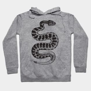 Vintage Rattlesnake Hoodie